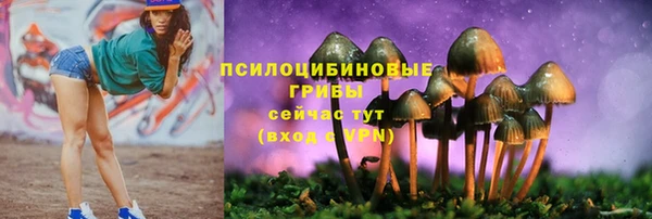 мдпв Михайловка