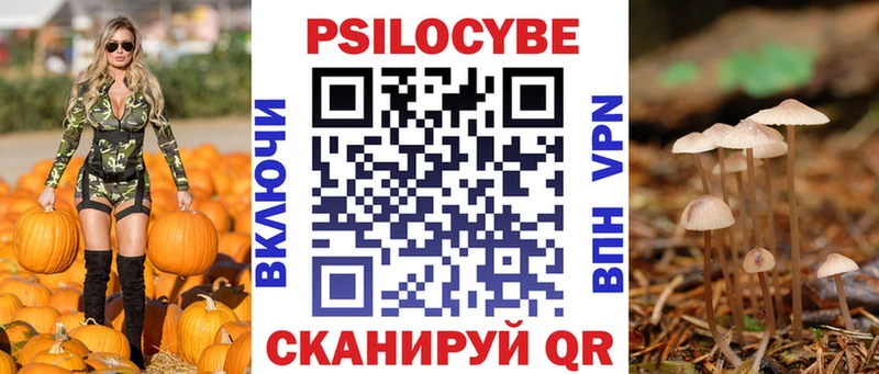 Псилоцибиновые грибы Psilocybe  где купить наркоту  Янаул 