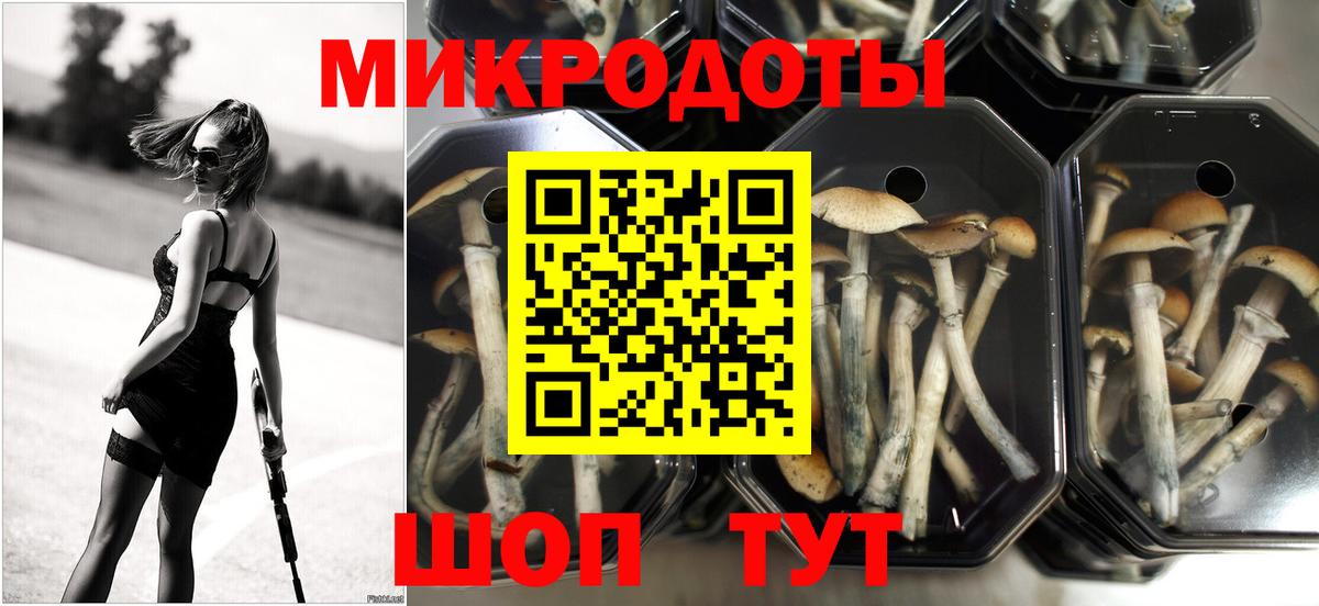магазин    Галлюциногенные грибы Psilocybe  Вход с VPN  Янаул 