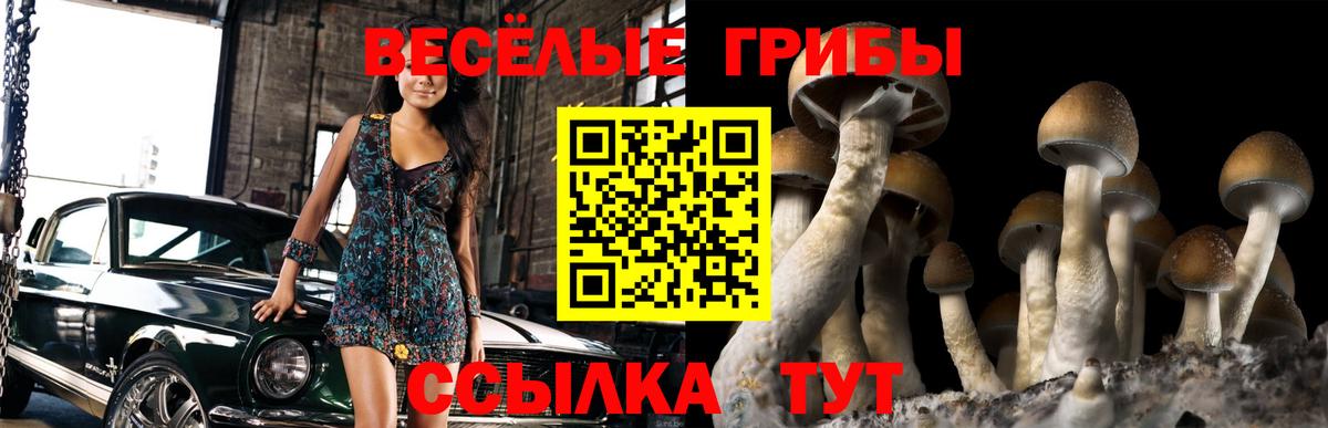 Псилоцибиновые грибы Cubensis Янаул