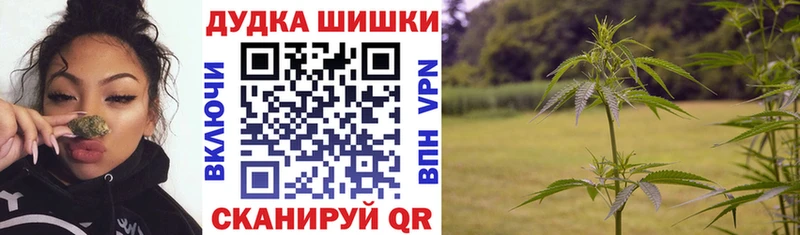 МАРИХУАНА MAZAR  цены наркотик  Янаул 